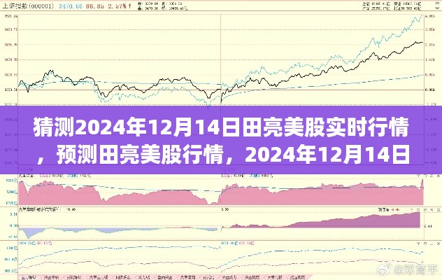 田亮美股行情预测，深度洞察2024年12月14日市场走势