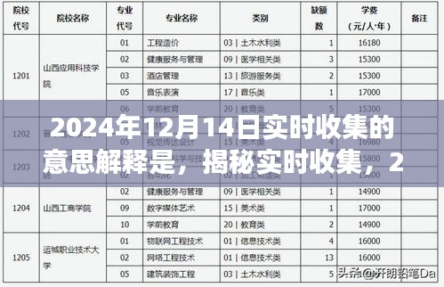 揭秘实时收集深层意义，解析数据收集的深层含义在2024年12月14日的重要性