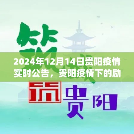 贵阳疫情下的励志篇章，学习变化，自信成就未来（实时更新至2024年12月14日）