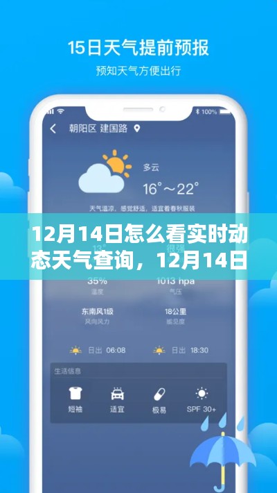 如何轻松查询12月14日实时动态天气信息