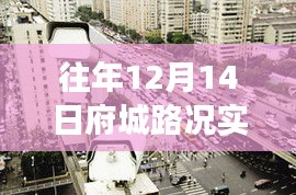 府城路况实时监控下的励志旅程，驾驭生活的车轮在行动