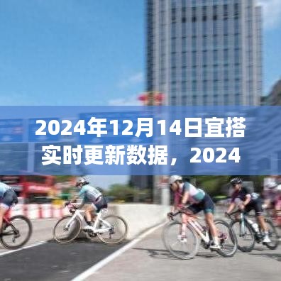 与数据共舞，心灵启程之时——2024年12月14日实时更新数据