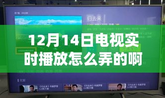 小红书独家揭秘，轻松搞定12月14日电视实时播放的方法！