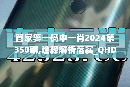 管家婆一码中一肖2024第350期,诠释解析落实_QHD3.942