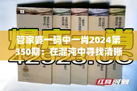 管家婆一码中一肖2024第350期：在混沌中寻找清晰的答案