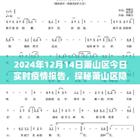 2024年萧山区疫情实时报告，隐秘小巷与美食秘境的探秘之旅