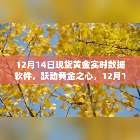 跃动黄金之心，现货黄金实时数据软件的启示与成长之旅