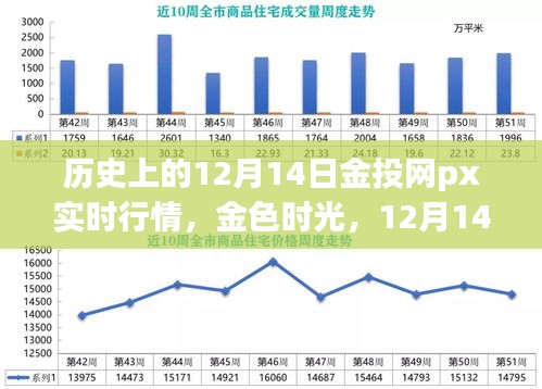 金色时光，揭秘历史12月14日金投网PX实时行情与家的温馨之旅