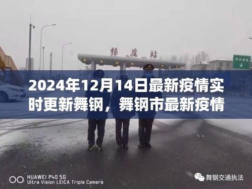 舞钢市最新疫情动态分析报告，聚焦实时更新与观点阐述（2024年12月14日）