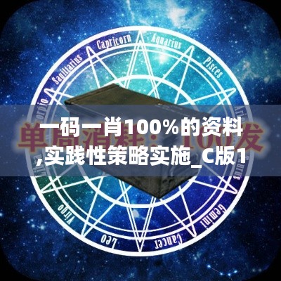 一码一肖100%的资料,实践性策略实施_C版10.762