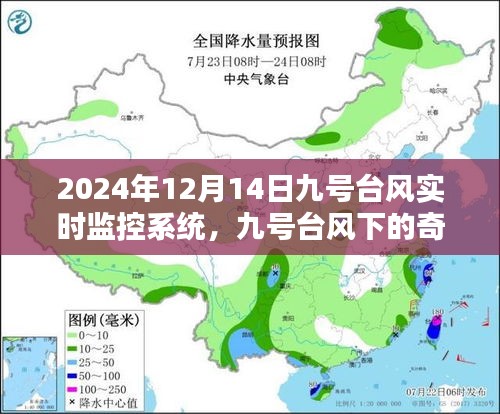 九号台风下的奇妙探险，实时监控系统记录与自然美景共舞的日子