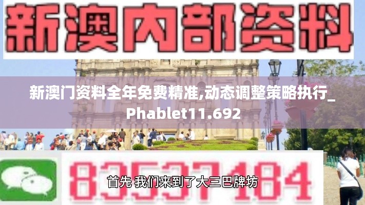 新澳门资料全年免费精准,动态调整策略执行_Phablet11.692