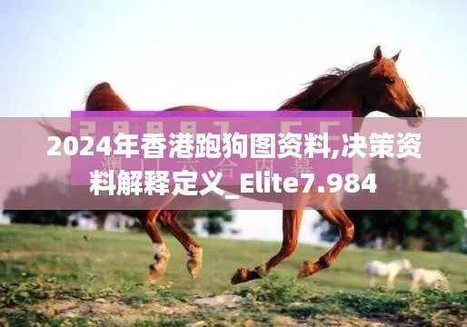 2024年香港跑狗图资料,决策资料解释定义_Elite7.984