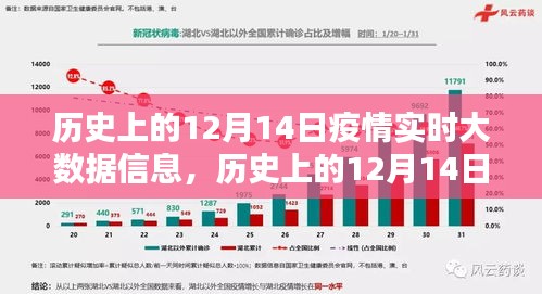 历史上的12月14日疫情实时大数据全面解析与介绍