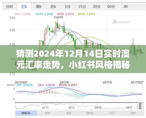 小红书揭秘，预测未来澳元汇率走势，解读2024年12月14日澳元汇率动态及走势分析