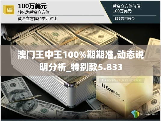 澳门王中王100%期期准,动态说明分析_特别款5.833