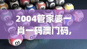 2004管家婆一肖一码澳门码,精细化策略探讨_工具版6.707