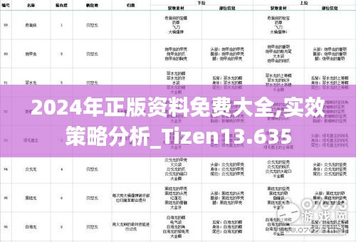 2024年正版资料免费大全,实效策略分析_Tizen13.635