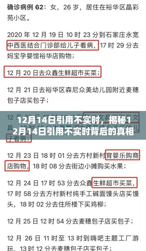 揭秘，12月14日引用背后的真相探索之旅（小红书带你揭秘）