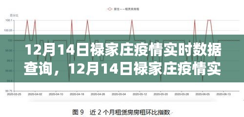 12月14日禄家庄疫情实时数据解析与关键信息解读