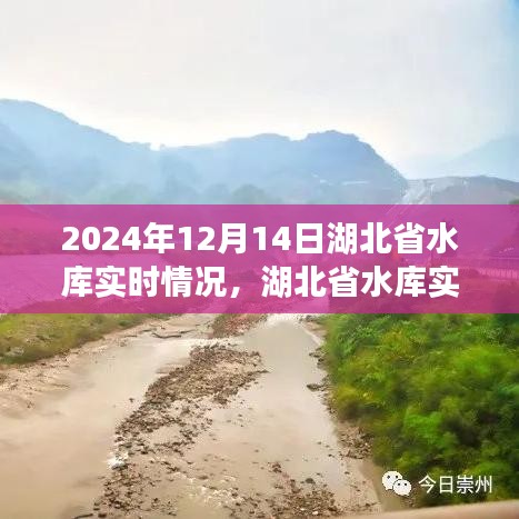 湖北省水库实时情况报告，2024年12月14日评测分析