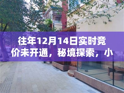 秘境探索，揭秘往年12月14日竞价未解之谜与小巷深处的特色小店