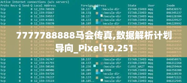 7777788888马会传真,数据解析计划导向_Pixel19.251