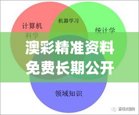 澳彩精准资料免费长期公开,统计分析解释定义_macOS7.706