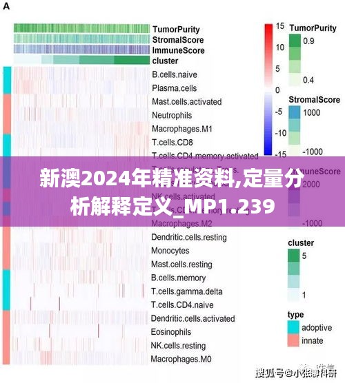 新澳2024年精准资料,定量分析解释定义_MP1.239