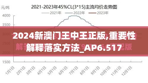 2024新澳门王中王正版,重要性解释落实方法_AP6.517