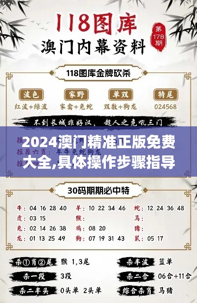 2024澳门精准正版免费大全,具体操作步骤指导_经典款9.102