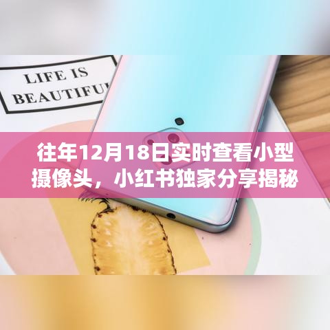 小红书独家揭秘，往年12月18日实时查看小型摄像头的神奇体验纪实！