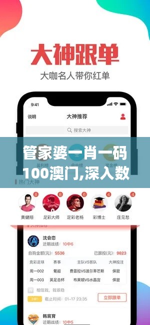 管家婆一肖一码100澳门,深入数据执行计划_户外版110.469