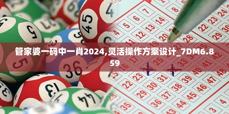 管家婆一码中一肖2024,灵活操作方案设计_7DM6.859