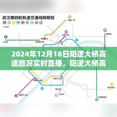 阳逻大桥高速实时路况直播报道，2024年12月18日路况详解