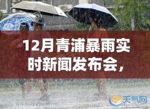 青浦暴雨背后的秘密与小巷美食奇遇，12月实时新闻发布会揭秘