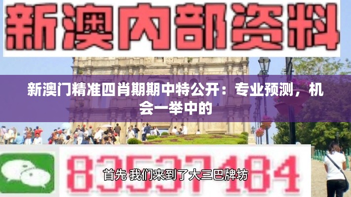 新澳门精准四肖期期中特公开：专业预测，机会一举中的