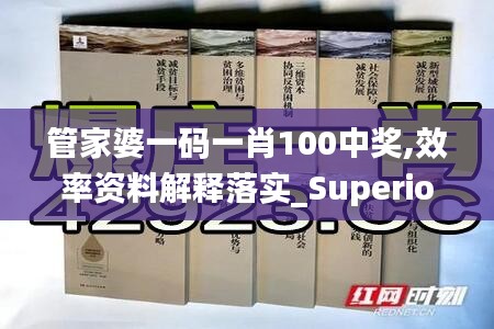 管家婆一码一肖100中奖,效率资料解释落实_Superior5.720