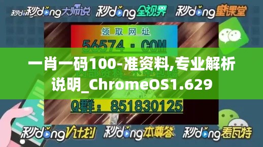 一肖一码100-准资料,专业解析说明_ChromeOS1.629