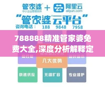 788888精准管家婆免费大全,深度分析解释定义_WP19.712