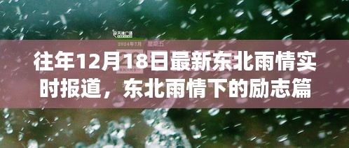 东北雨情下的励志篇章，自信与成就的力量在风雨中绽放