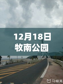 牧南公园实时路况查询，轻松掌握出行信息，应对城市交通拥堵挑战