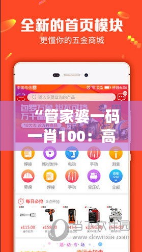 “管家婆一码一肖100：高效管理工具打造专属编码系统”