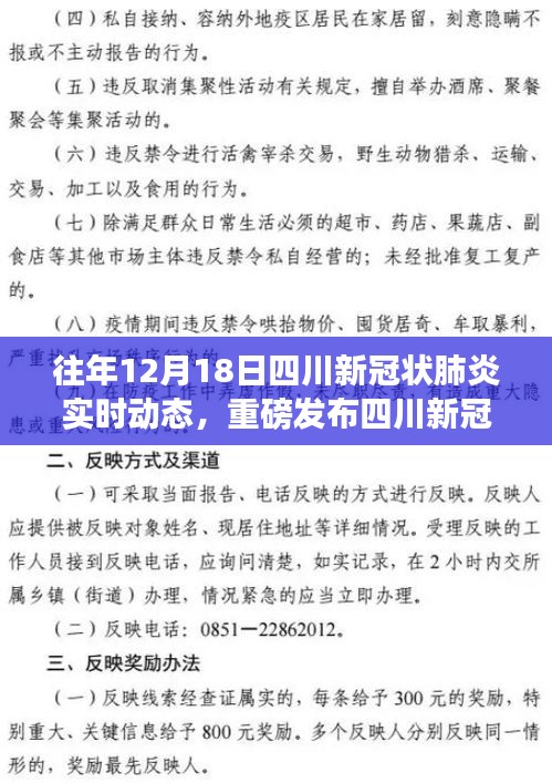 四川新冠状肺炎实时动态监测系统，科技智能引领抗疫未来