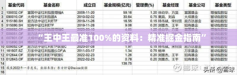 “王中王最准100%的资料：精准掘金指南”