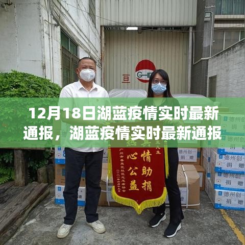 湖蓝疫情实时最新通报深度解析，产品特性、用户体验与目标用户群体评测报告