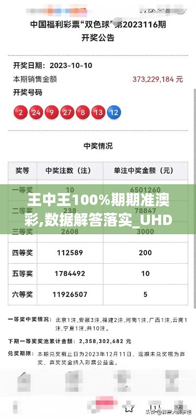 王中王100%期期准澳彩,数据解答落实_UHD10.650