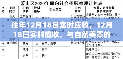 与自然美景邂逅，寻找内心平静的旅程，往年与实时应收的启示