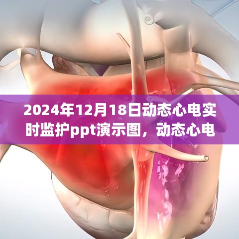 2024年动态心电监护技术新进展，实时监护演示图解析