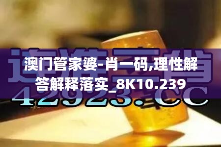 澳门管家婆-肖一码,理性解答解释落实_8K10.239